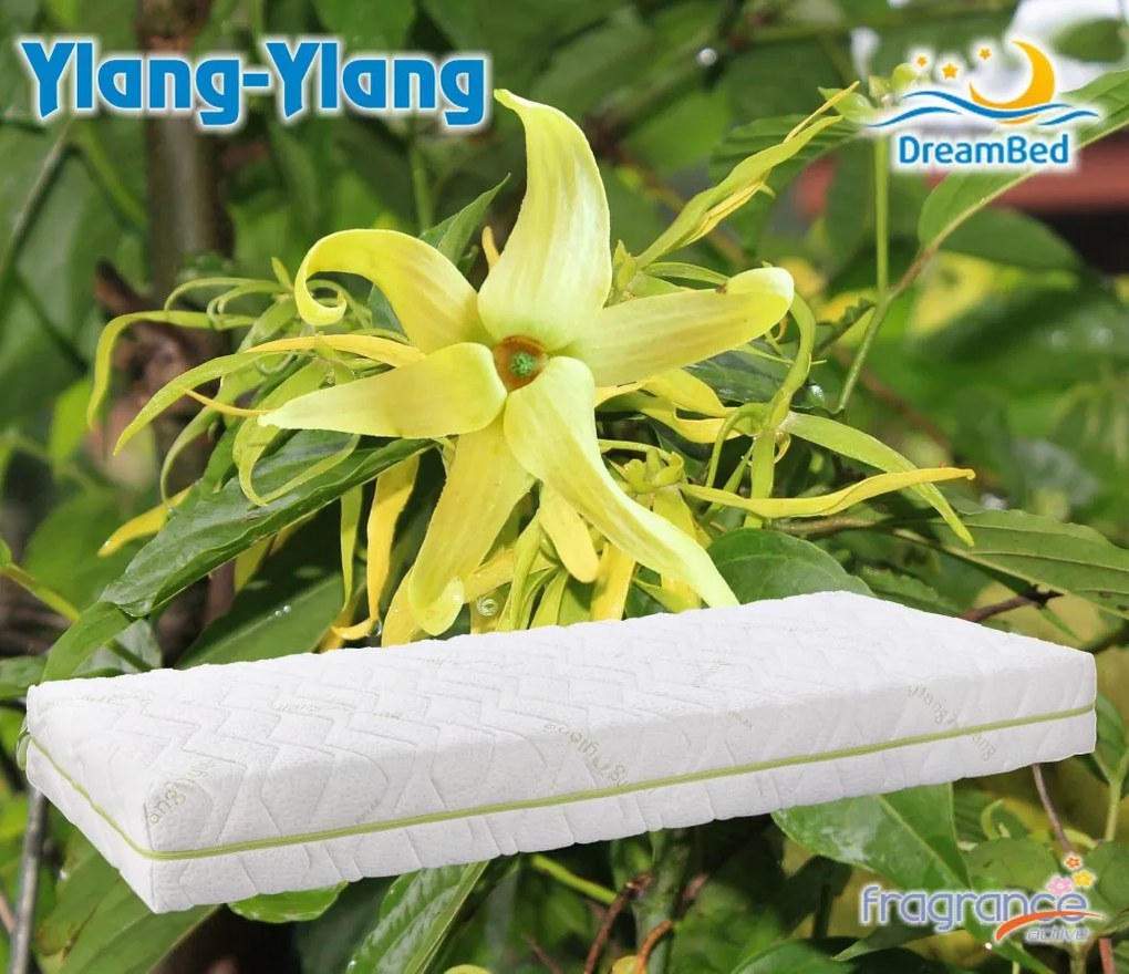 Matrac Ylang z pamäťovej peny DreamBed - 140x190cm