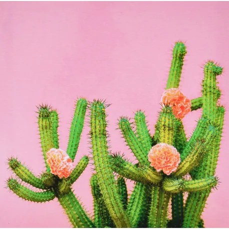 Obraz tlačený na plátne 28x28 PRC1067