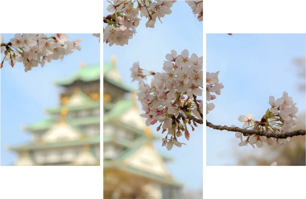 Obraz - Sakura (90x60 cm)