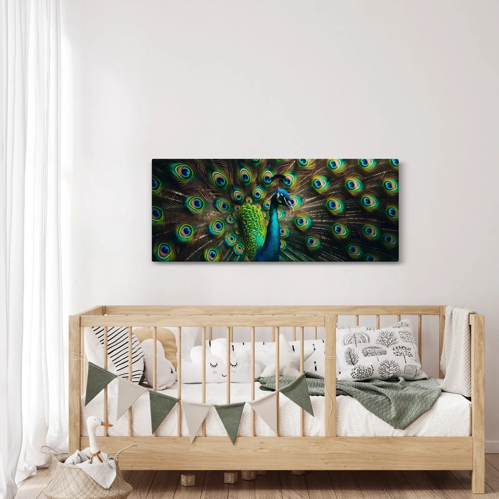 Obraz – Páv (120x50 cm)
