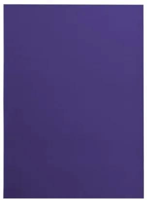 Protišmykový behúň RUMBA 1385 fialový