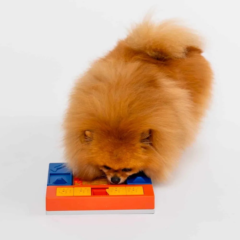 Hlavolam pre psov Puppy Set – Pawzler