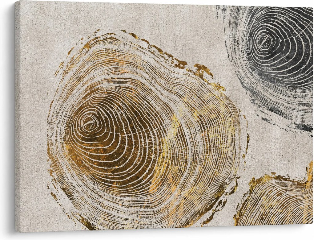 Obraz - Abstrakcia kmeňov (70x50 cm)