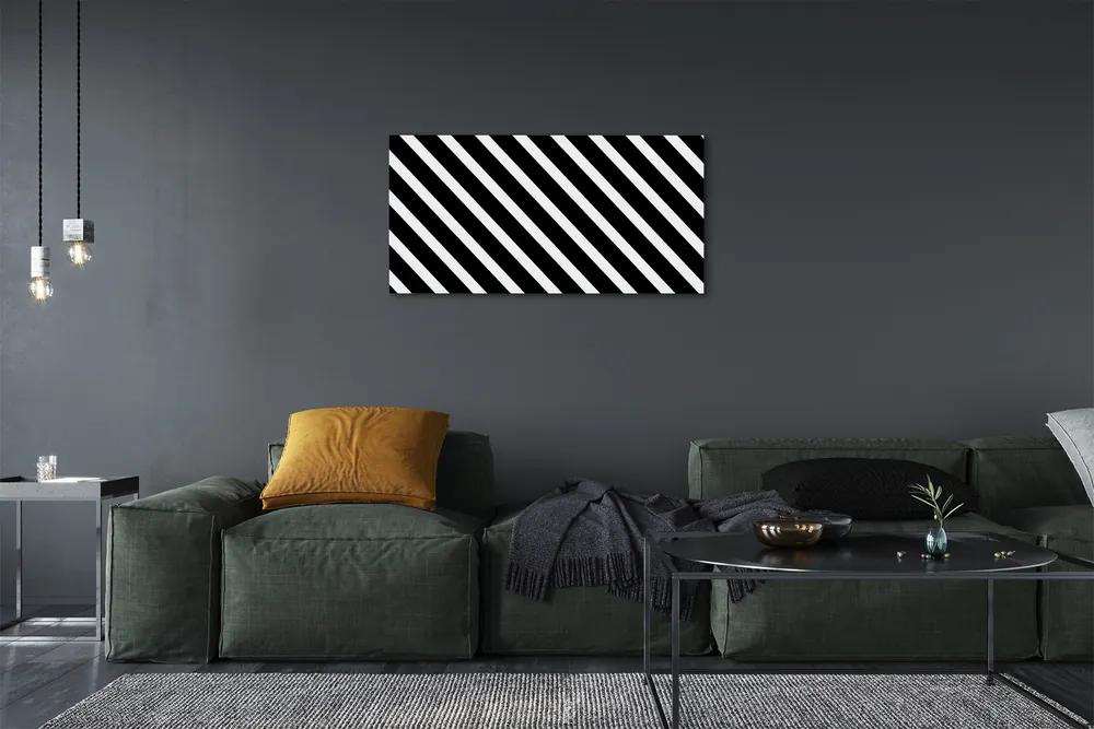 Obraz na plátne zebra pruhy 140x70 cm