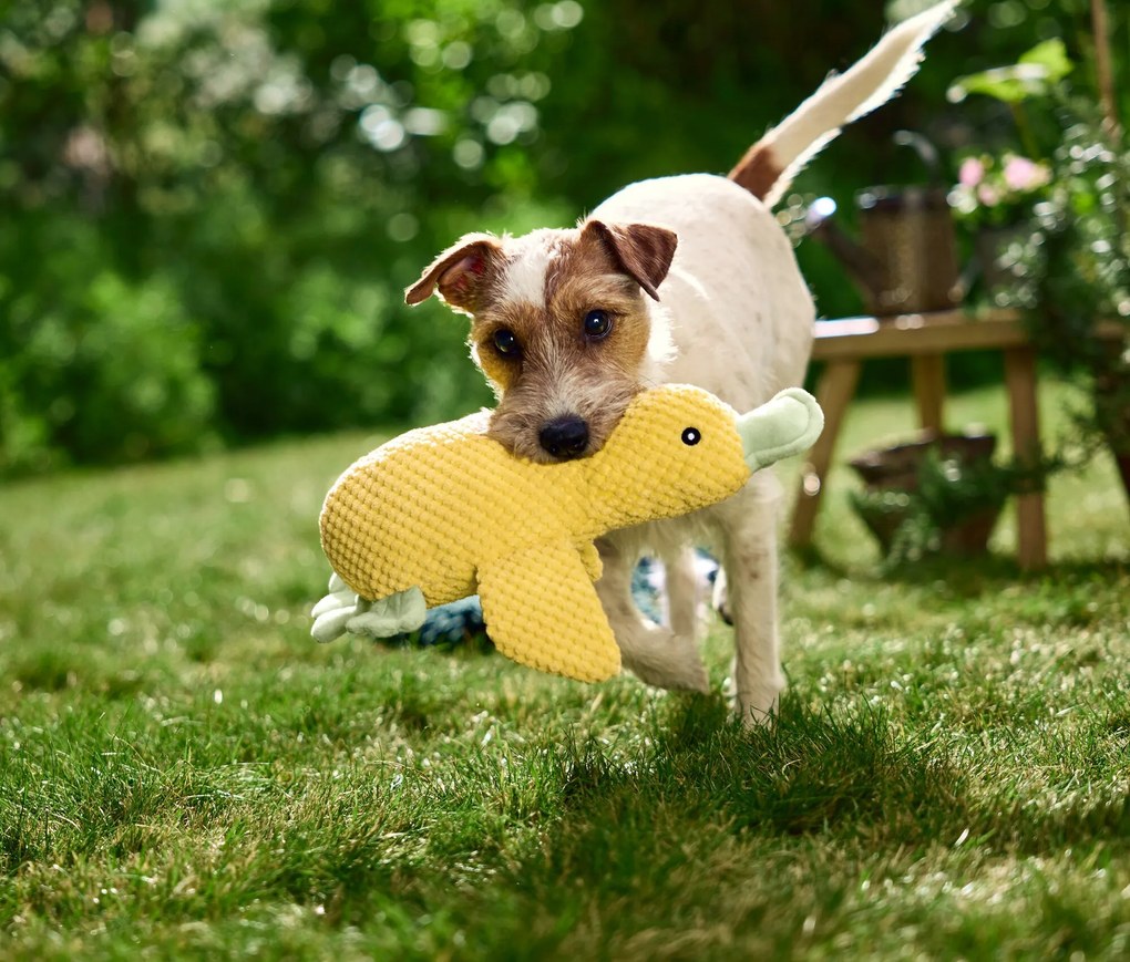 Plyšová hračka pre psy »Ente«