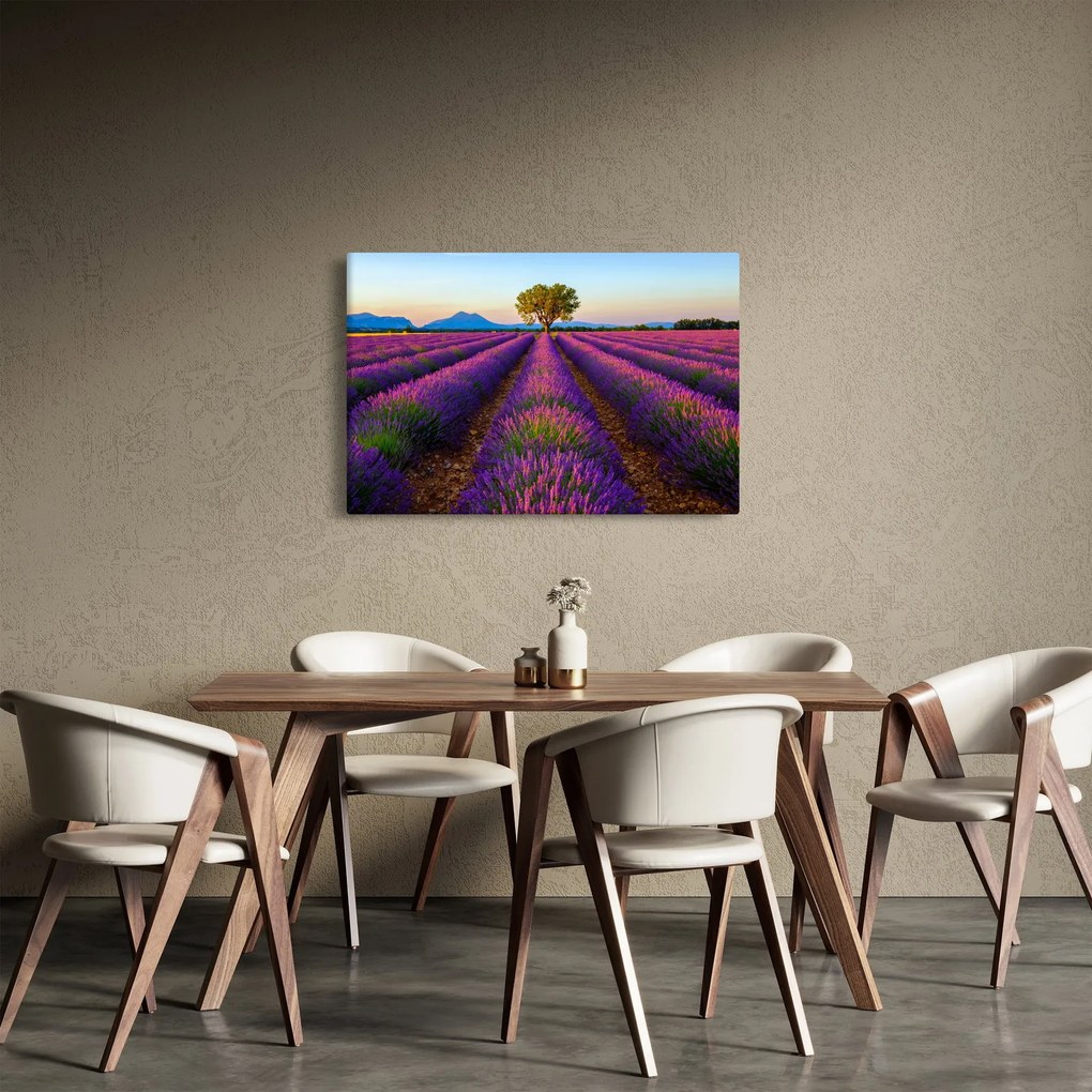 Obraz - Levanduľové pole (90x60 cm)