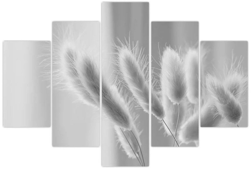 Obraz - Bunny tail grass (150x105 cm)
