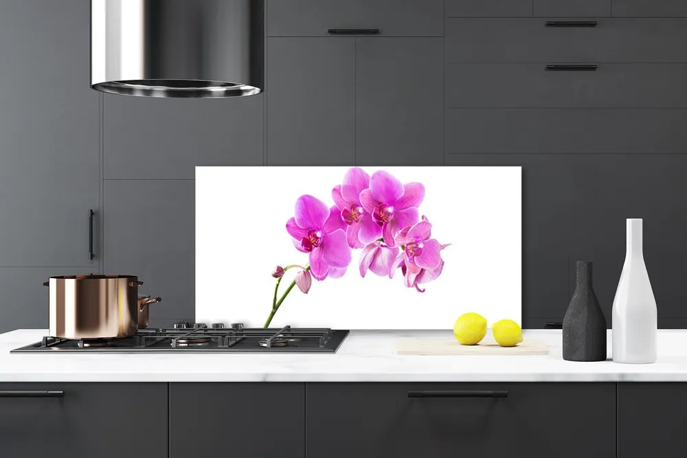 Sklenený obklad Do kuchyne Vstavač kvet orchidea 120x60 cm