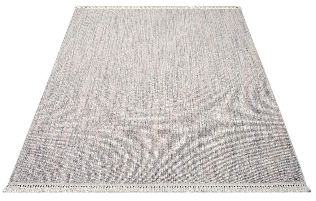 Dekorstudio Vintage koberec CLASICO 0052 - sivý Rozmer koberca: 80x150cm