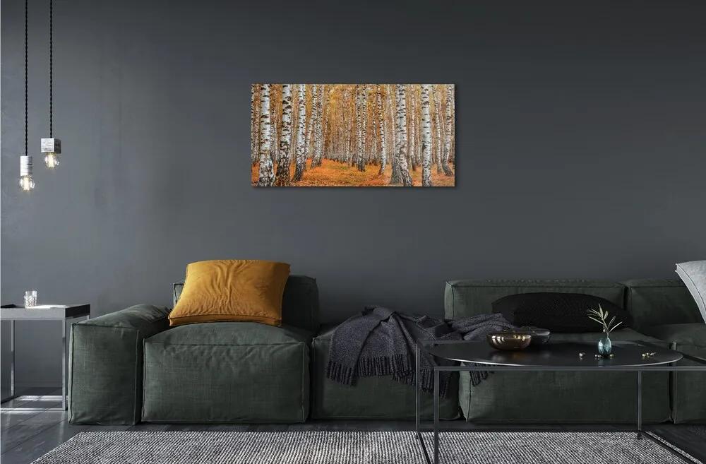 Sklenený obraz jesenné stromy 120x60 cm