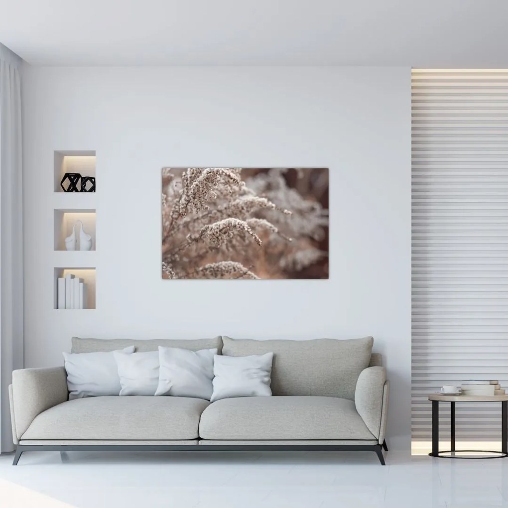 Obraz rastlín (90x60 cm)
