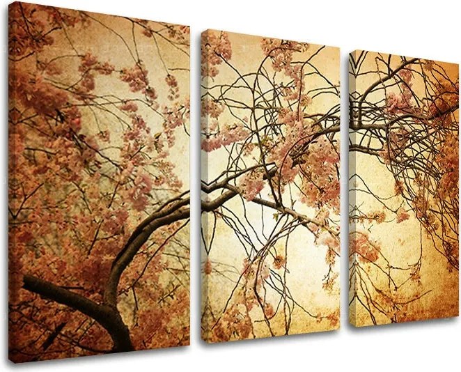 Obraz na stenu 3 dielny KVETY KV009E30 - 120x80 cm