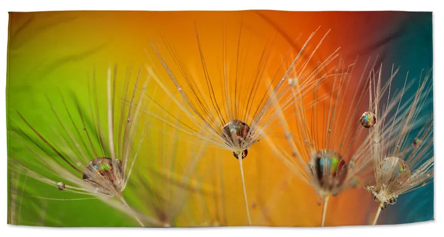 Sablio Uterák Odkvitnuté púpavy - 50x100 cm