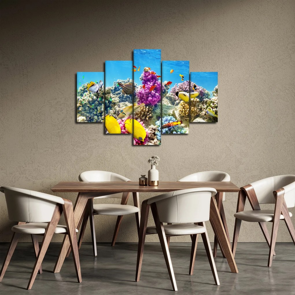 Obraz - Morský svet (150x105 cm)