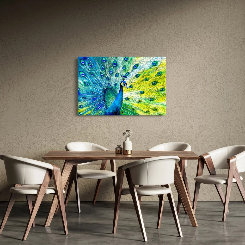 Obraz páva (90x60 cm)