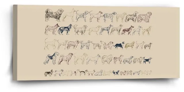 Sablio Obraz Psie plemená - 110x50 cm
