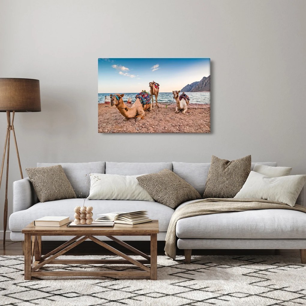 Obraz tiav (90x60 cm)