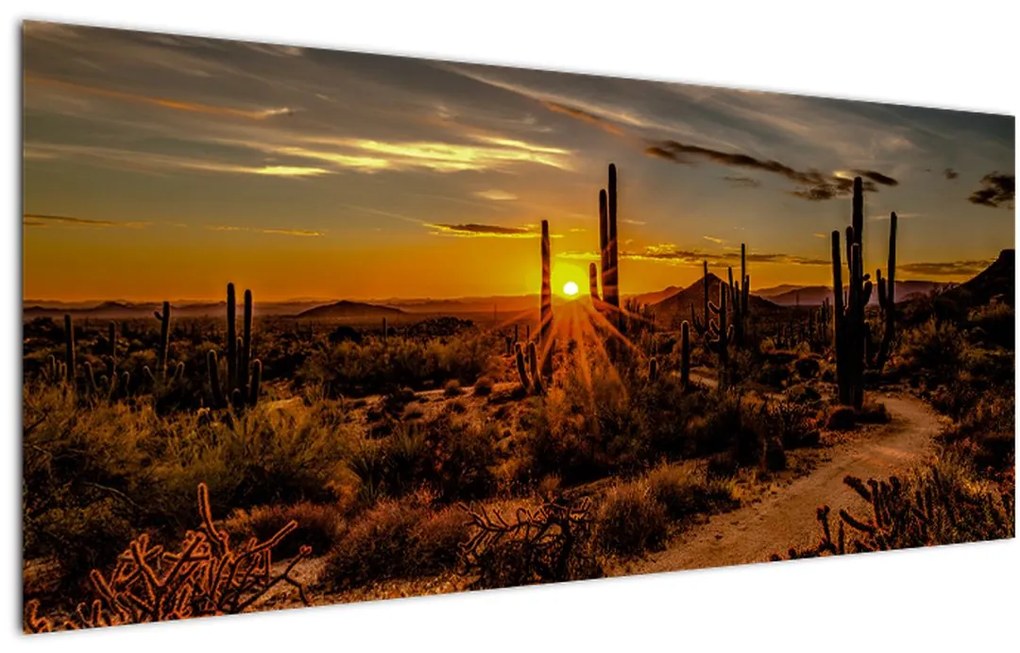 Obraz - Koniec dňa v arizonskej púšti (120x50 cm)