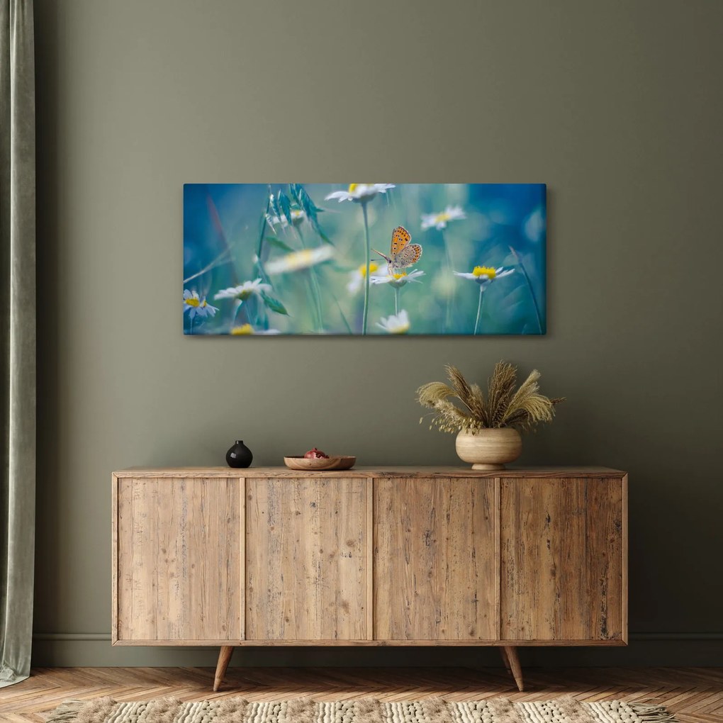 Obraz - Motýľ na sedmokráske (120x50 cm)