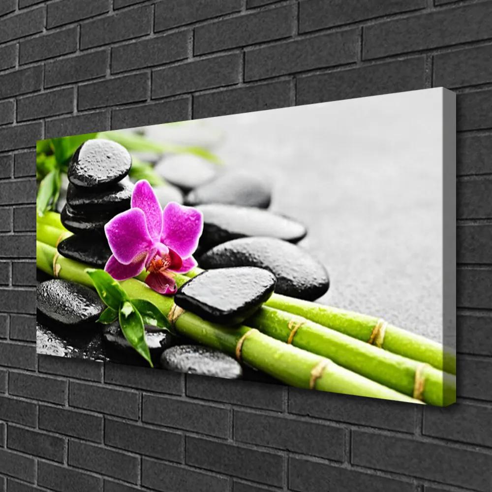 Obraz na plátne Bambus kvet kamene umenie 140x70 cm