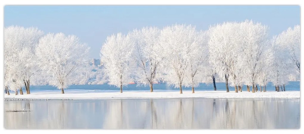 Obraz zimnej krajiny (120x50 cm)