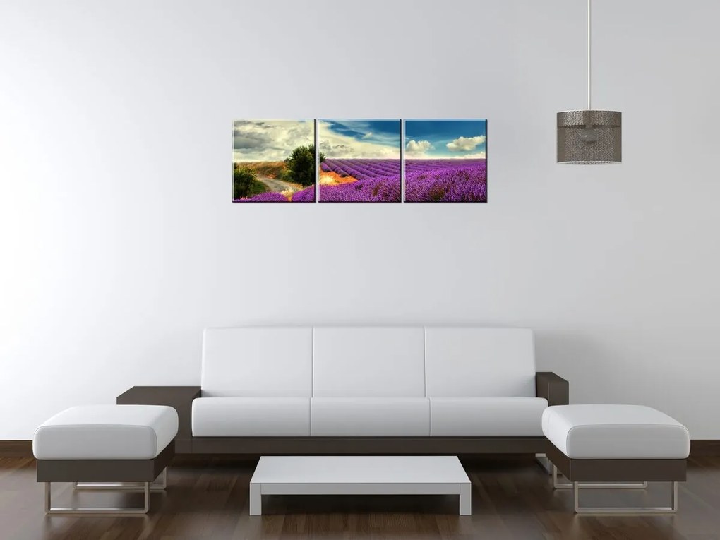 Gario Obraz na plátne Čarovná levanduľová krajina - 3 dielny Rozmery: 90 x 30 cm