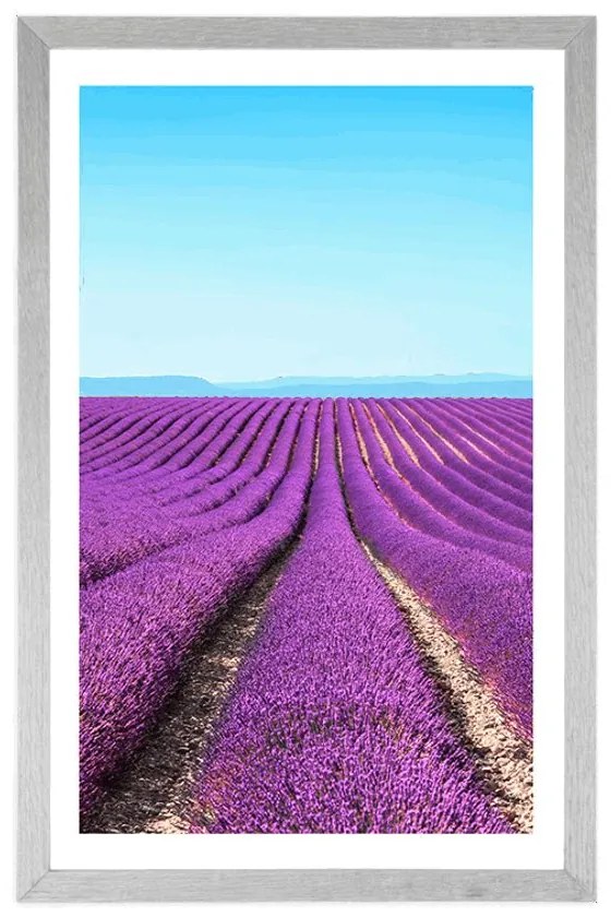 Plagát s paspartou nekonečné levanduľové pole - 30x45 silver