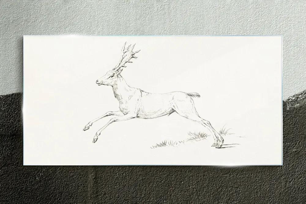 Obraz na skle Kreslenie živočíšneho jeleňovi