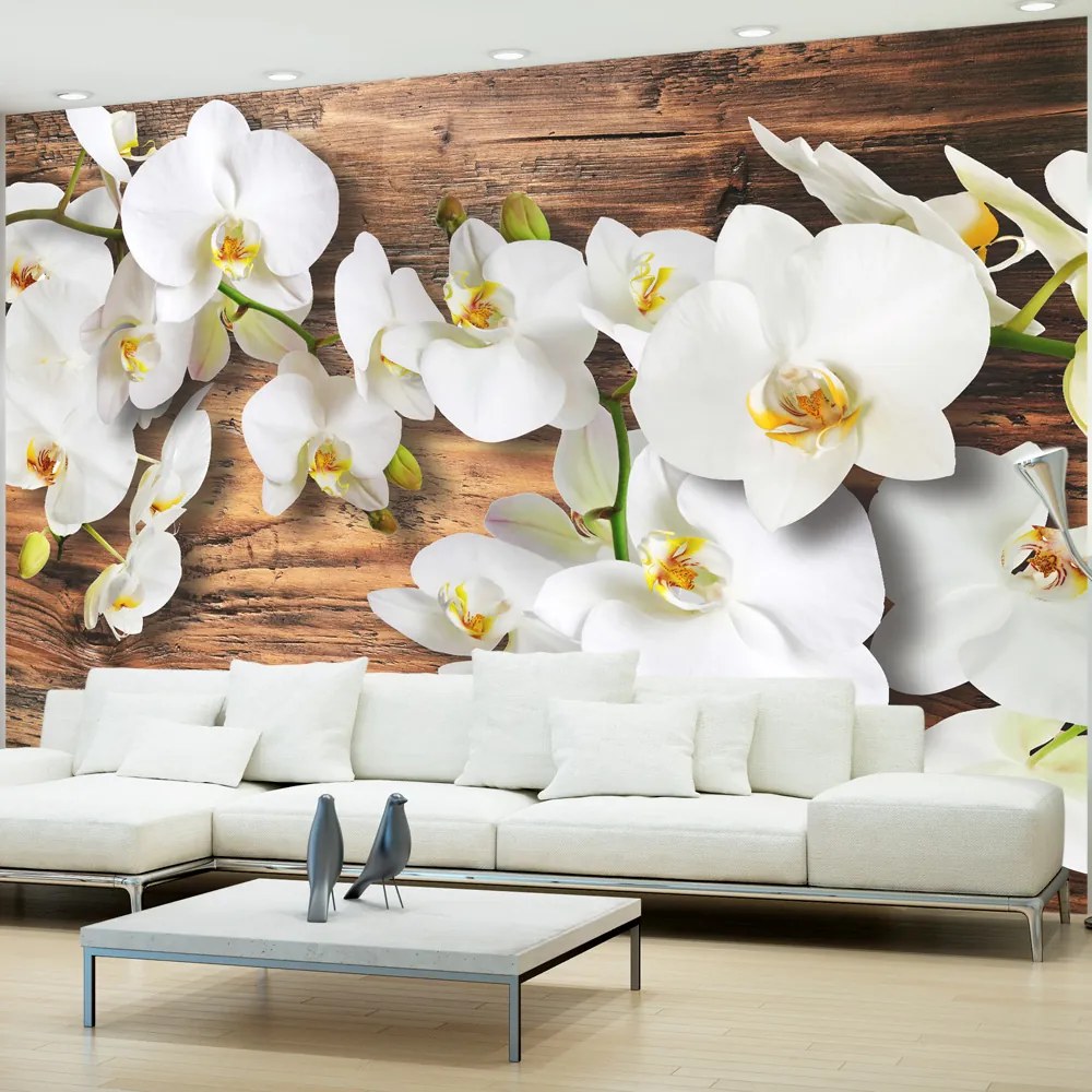 Artgeist Fototapeta - Forest Orchid Veľkosť: 100x70, Verzia: Standard