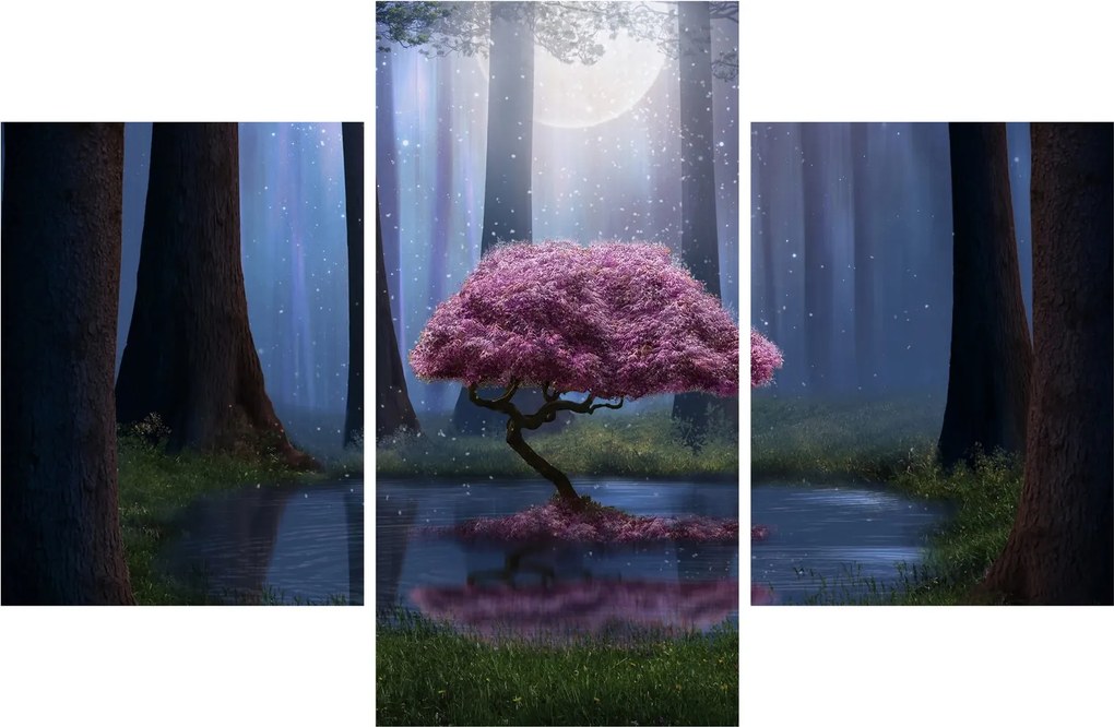 Obraz - Magická noc (90x60 cm)