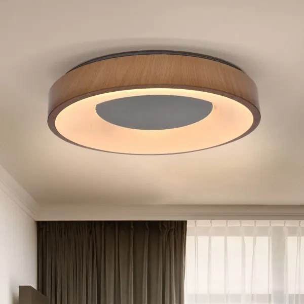Brilagi - LED Stmievateľné stropné svietidlo DORIA LED/48W/230V 3000-6500K + DO