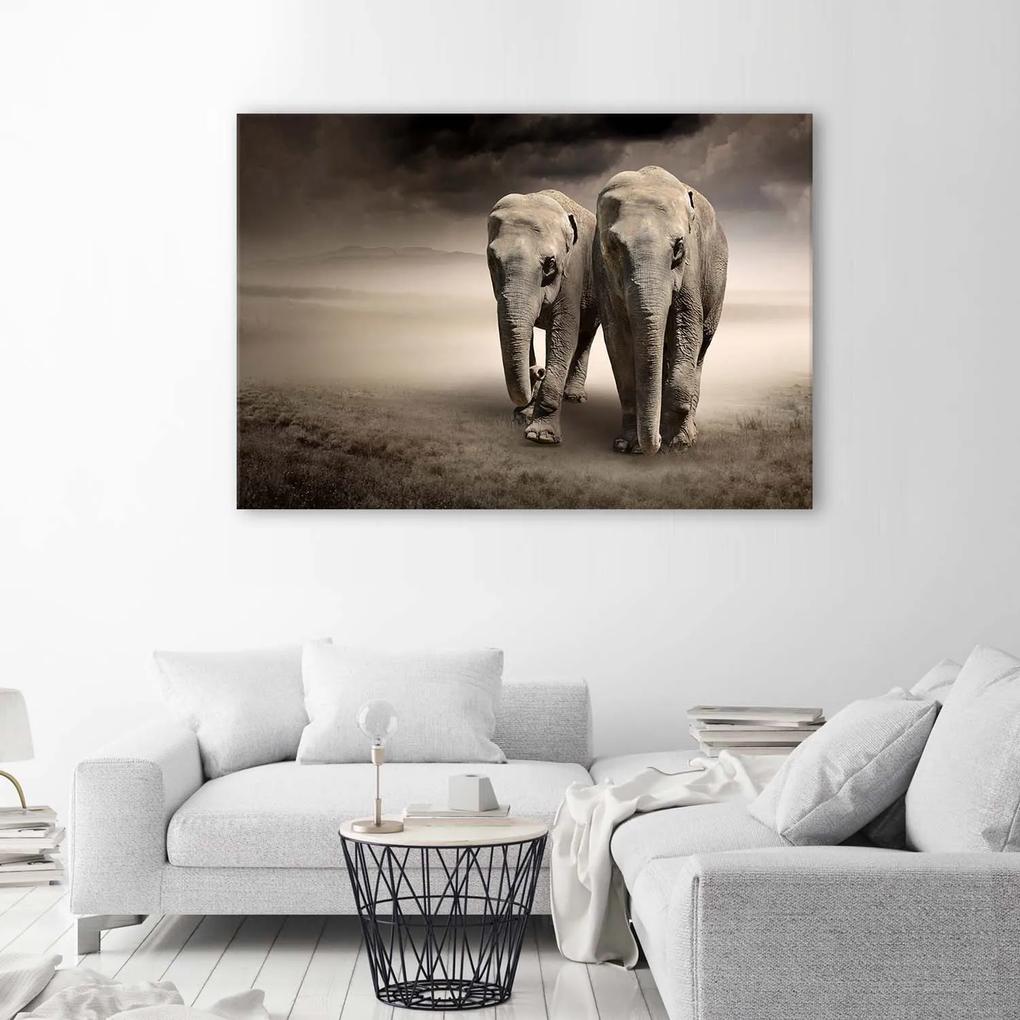 Gario Obraz na plátne Slony v púšti Rozmery: 60 x 40 cm