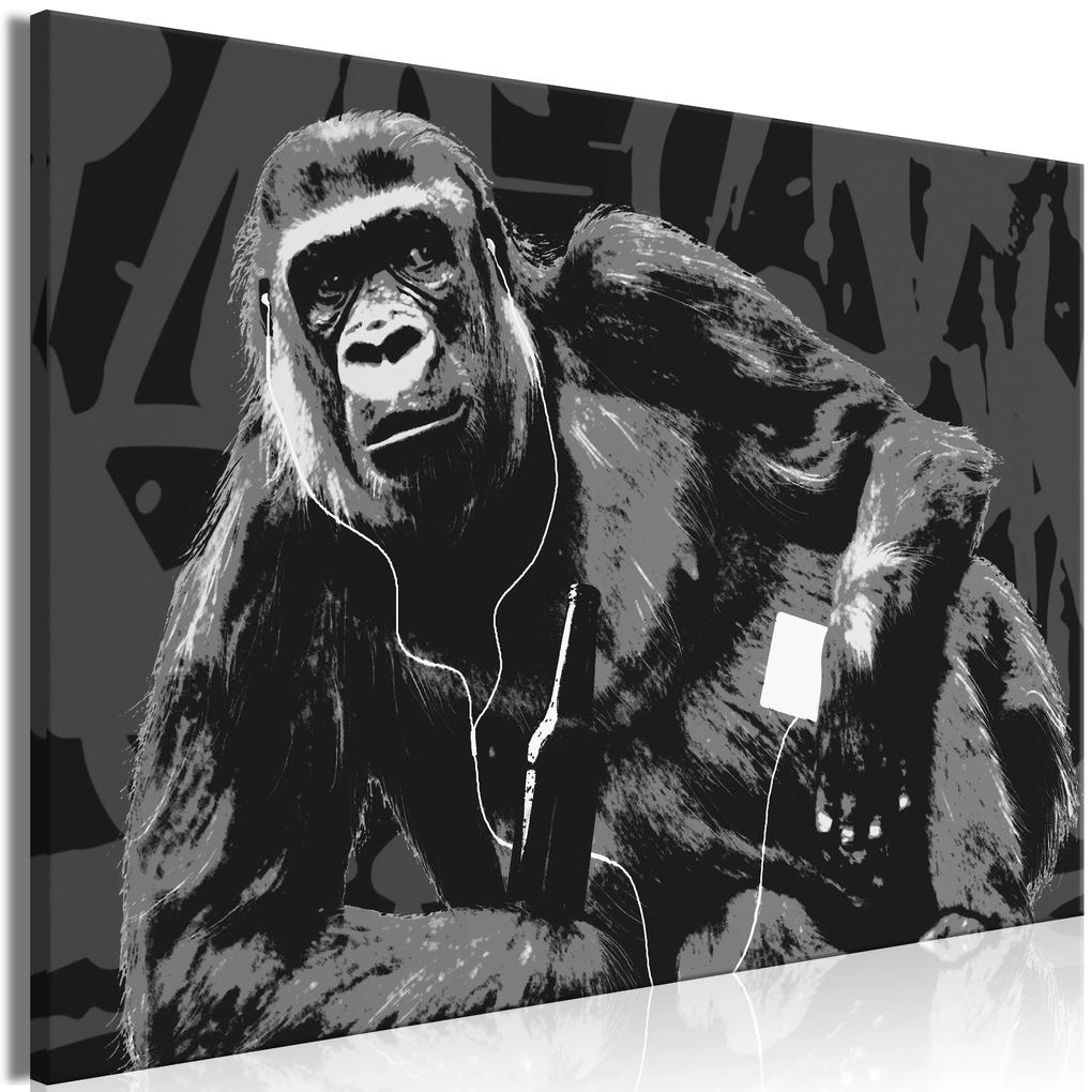 Artgeist Obraz - Pop Art Monkey (1 Part) Narrow Grey Veľkosť: 120x80, Verzia: Premium Print