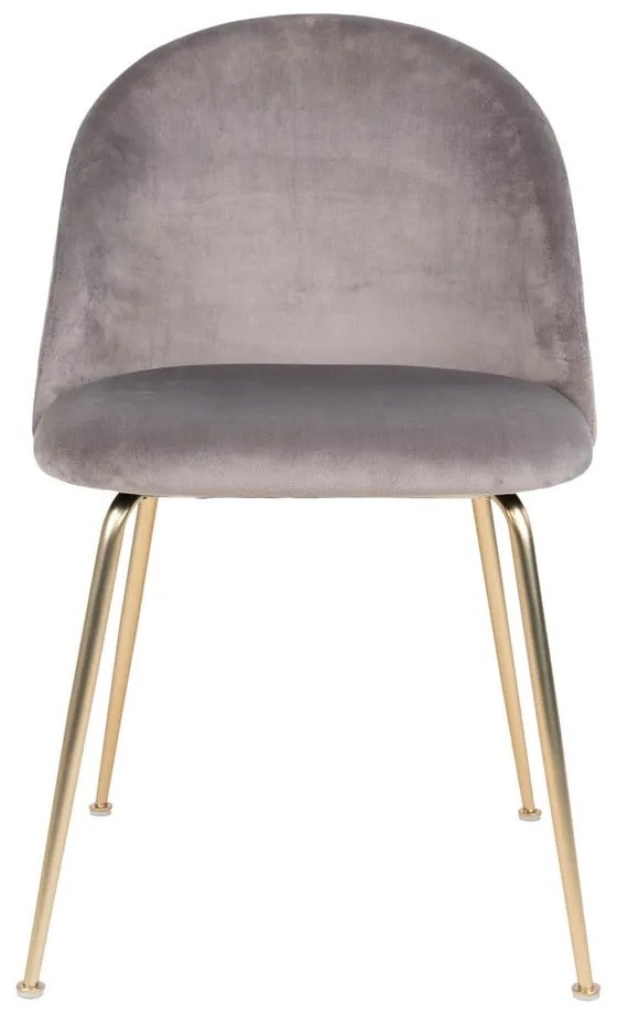 Svetlosivé zamatové jedálenské stoličky v súprave 2 ks Geneve – House Nordic