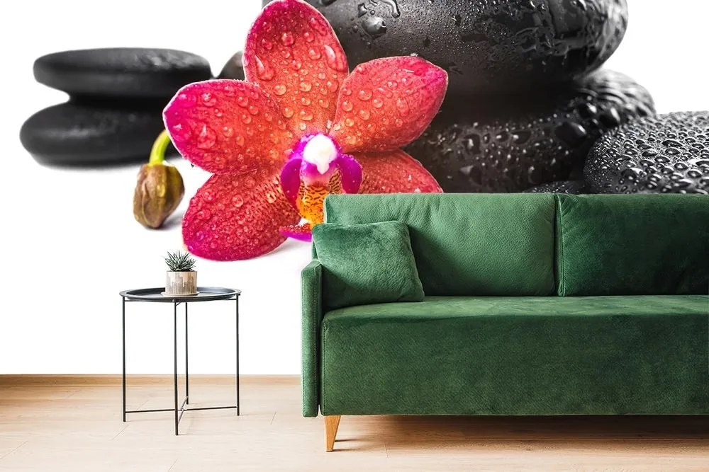 Tapeta orchidea a Zen kamene na bielom pozadí - 375x250