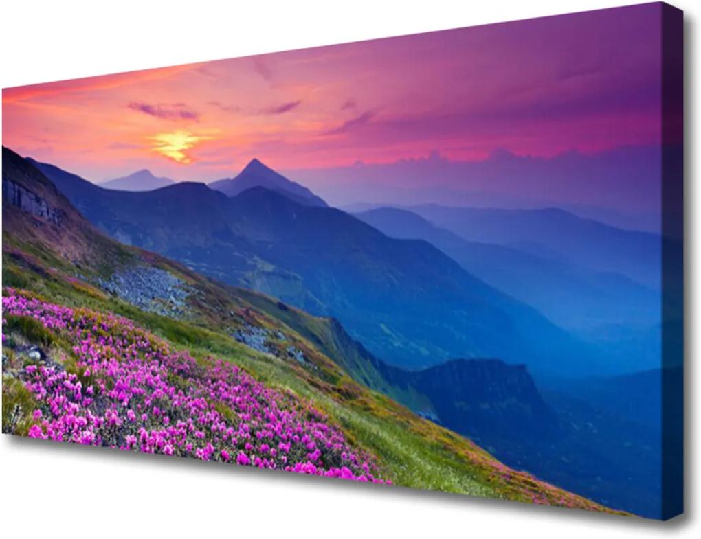 Obraz na plátně Hory Lúka Kvety Príroda