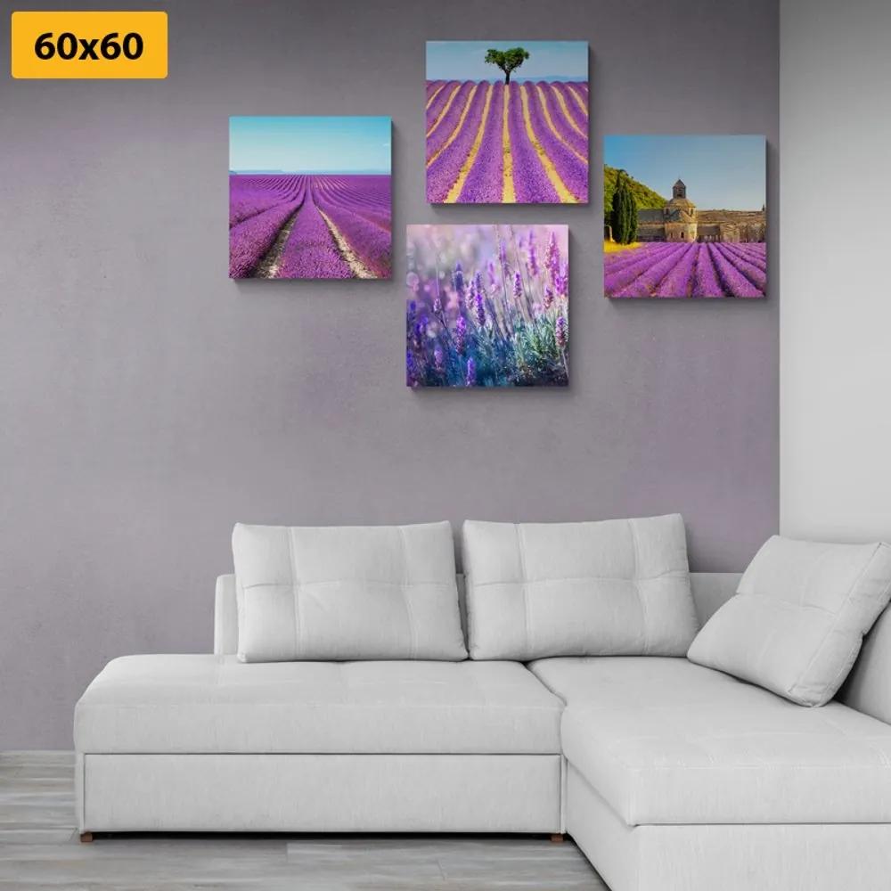 Set obrazov levanduľové pole - 4x 60x60
