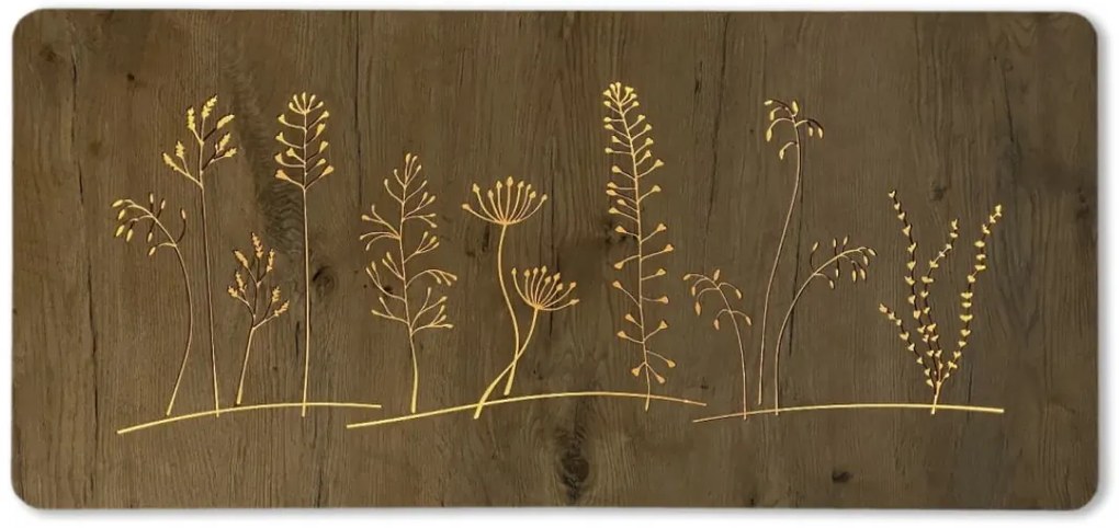 Podsvietený obraz Lúčne kvety