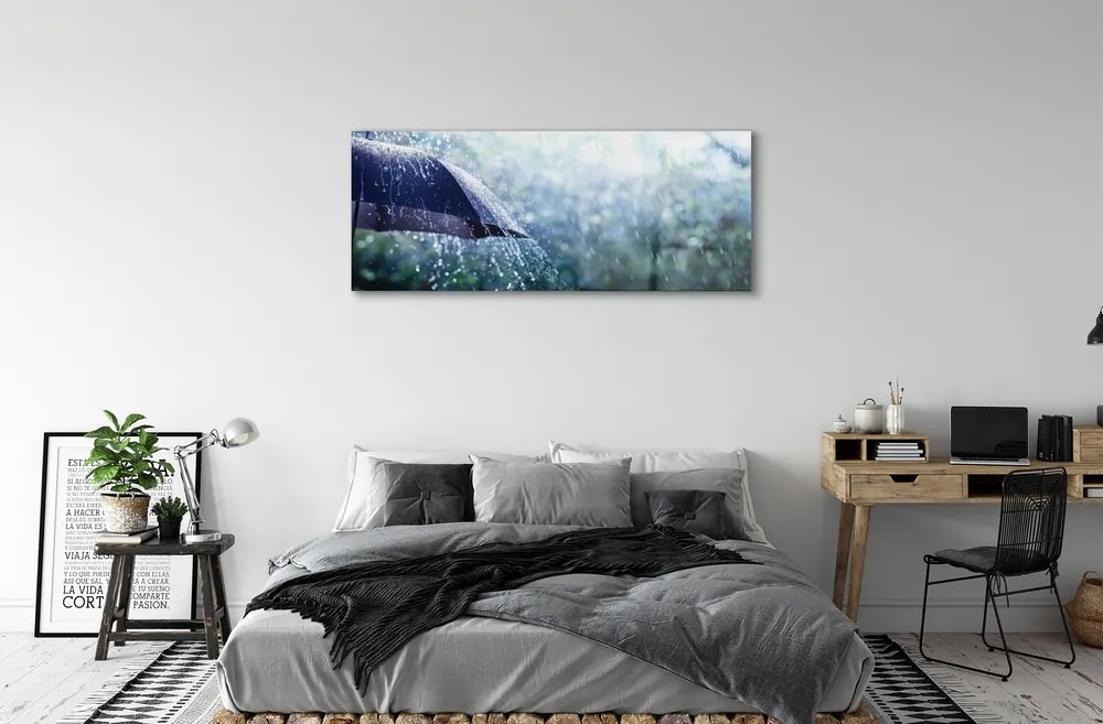 Obraz plexi Umbrella dažďovej kvapky 120x60 cm