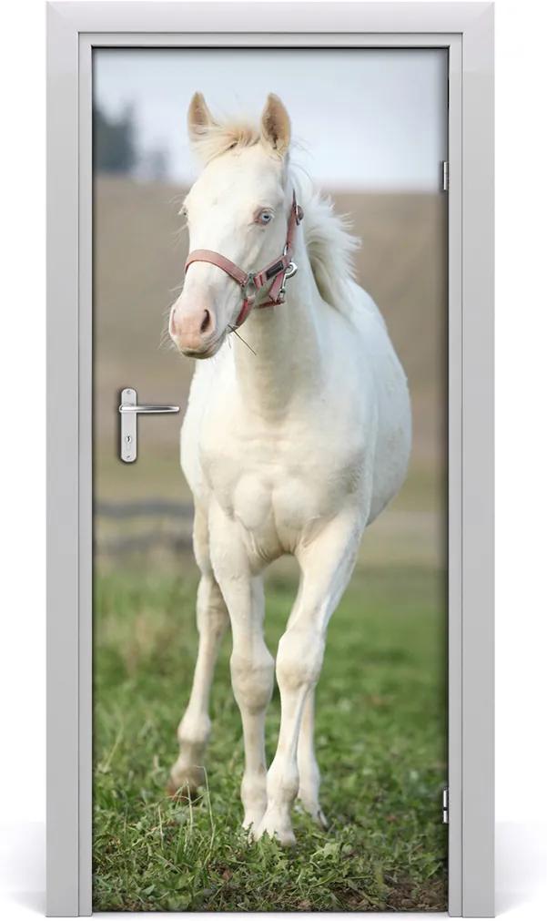 Samolepiace fototapety na dvere  biely kôň