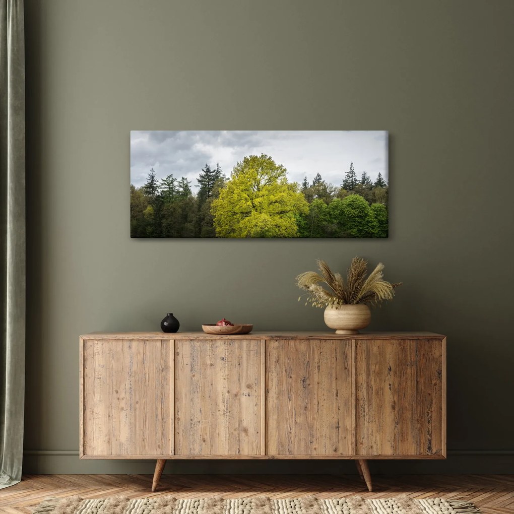Obraz zeleného stromu uprostred poľa (120x50 cm)