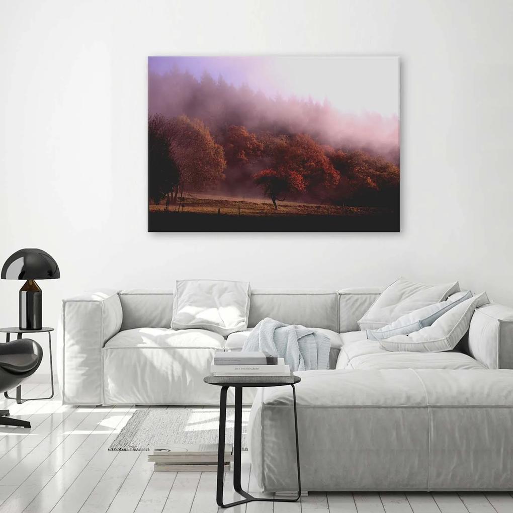 Gario Obraz na plátne Stromy v hmle Rozmery: 60 x 40 cm