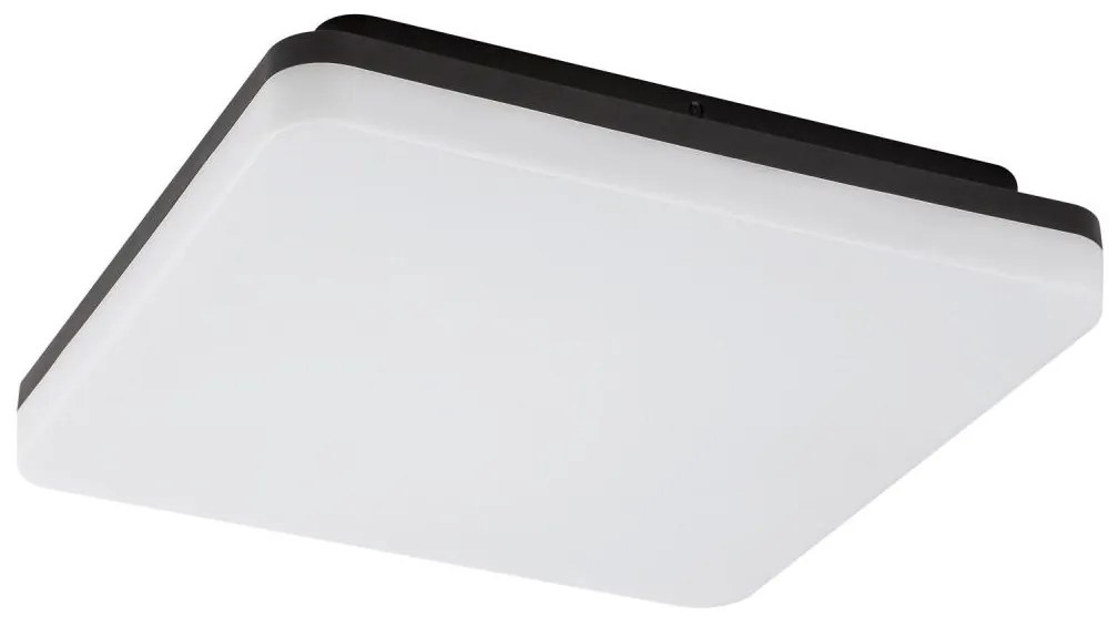 Rabalux 7250 - LED kúpeľňové stropné svietidlo PERNIK LED/24W/230V IP54