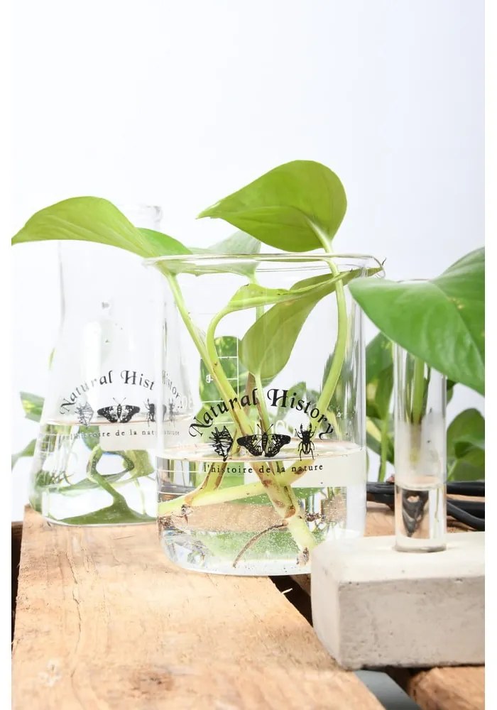 Sklenená váza (výška 12 cm) Natural History – Esschert Design