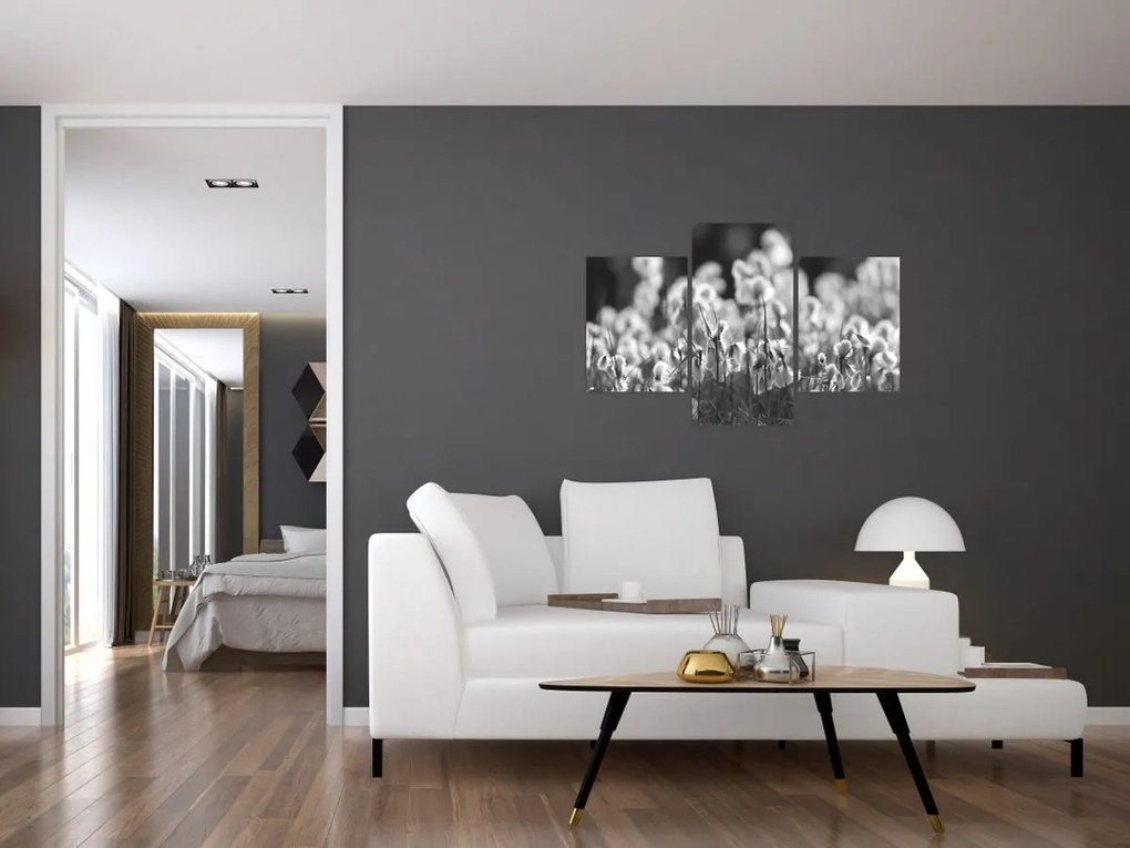 Obraz - Letná lúka (90x60 cm)