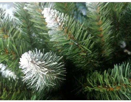 Sammer Vianočný stromček smrek na pni v zelenej farbe 220 cm Konrad 220 cm