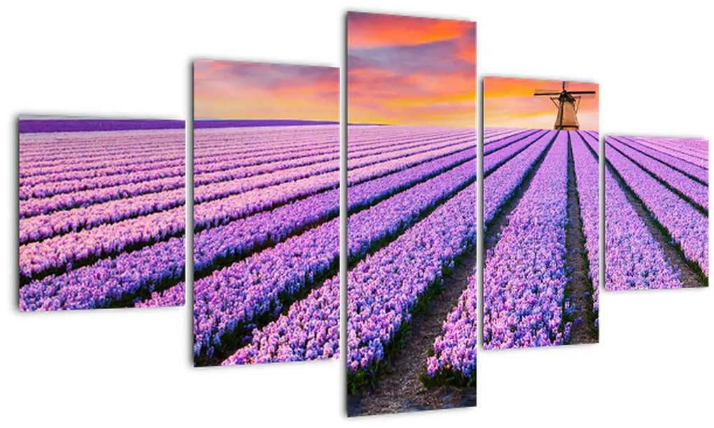 Obraz - kvetinová farma (125x70 cm), 40 ďalších rozmerov