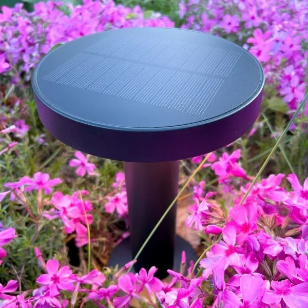 Zuma Line DT33611 - LED Solárna lampa CARLI LED/2W/2000 mAh IP44 čierna