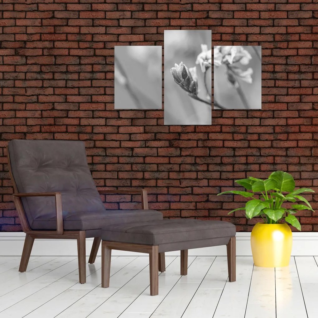 Obraz - Rozkvitnutý kvet (90x60 cm)