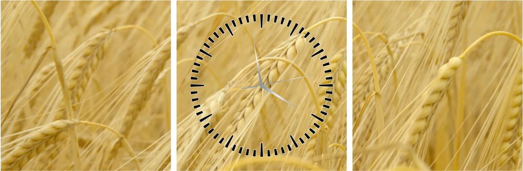 Obraz - Jačmeň (s hodinami) (90x30 cm)